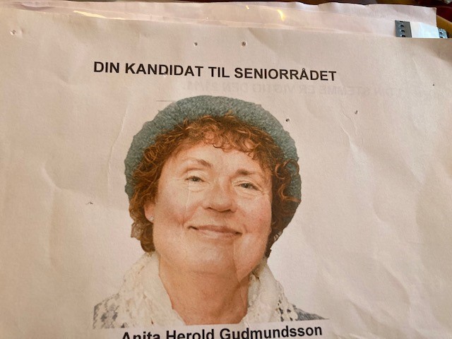 Anita Gudmundsson - din kandidat